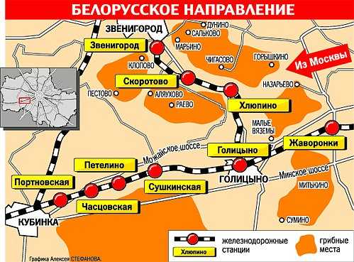 Карта грибных мест ленинградской области