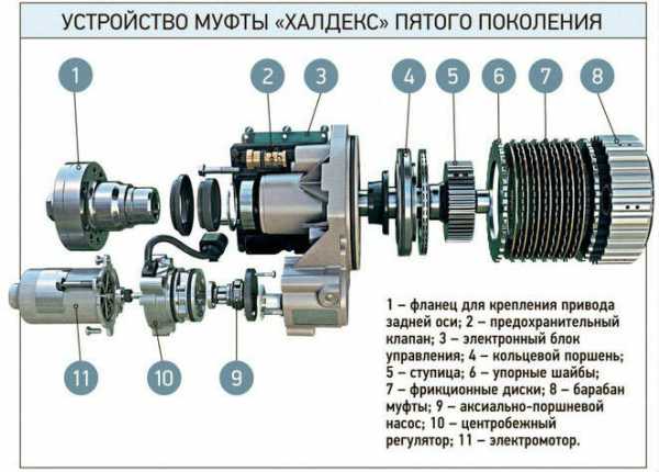 Муфта халдекс дастер