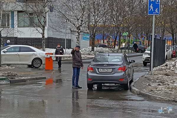 Петергоф где парковать машину