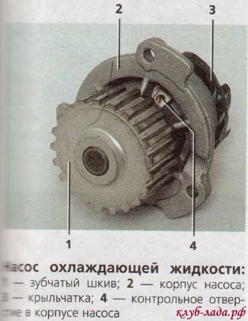 Сливная пробка радиатора калина