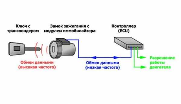 Иммобилайзер гетц где находится