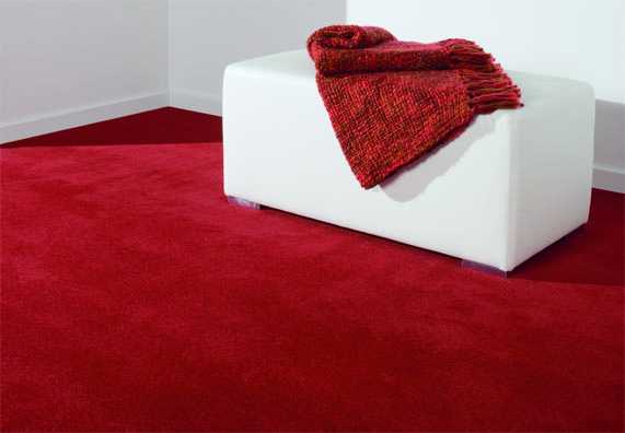 Велюровый ковер – Велюровый ковер – виды, описание, применение ...