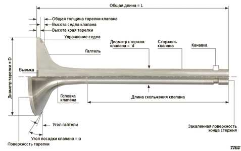 Выпускной и выпускной клапан