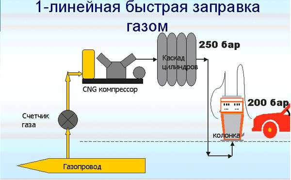 Агнкс карта заправок